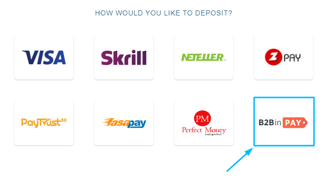 2. Select the B2BinPAY option.