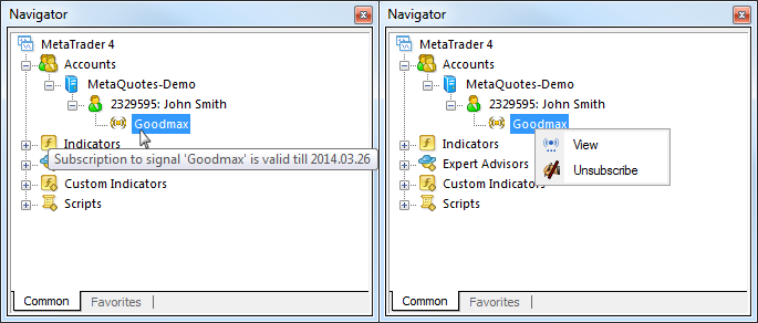 Subscriptions Displaying in the Terminal